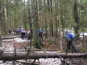 forest hike