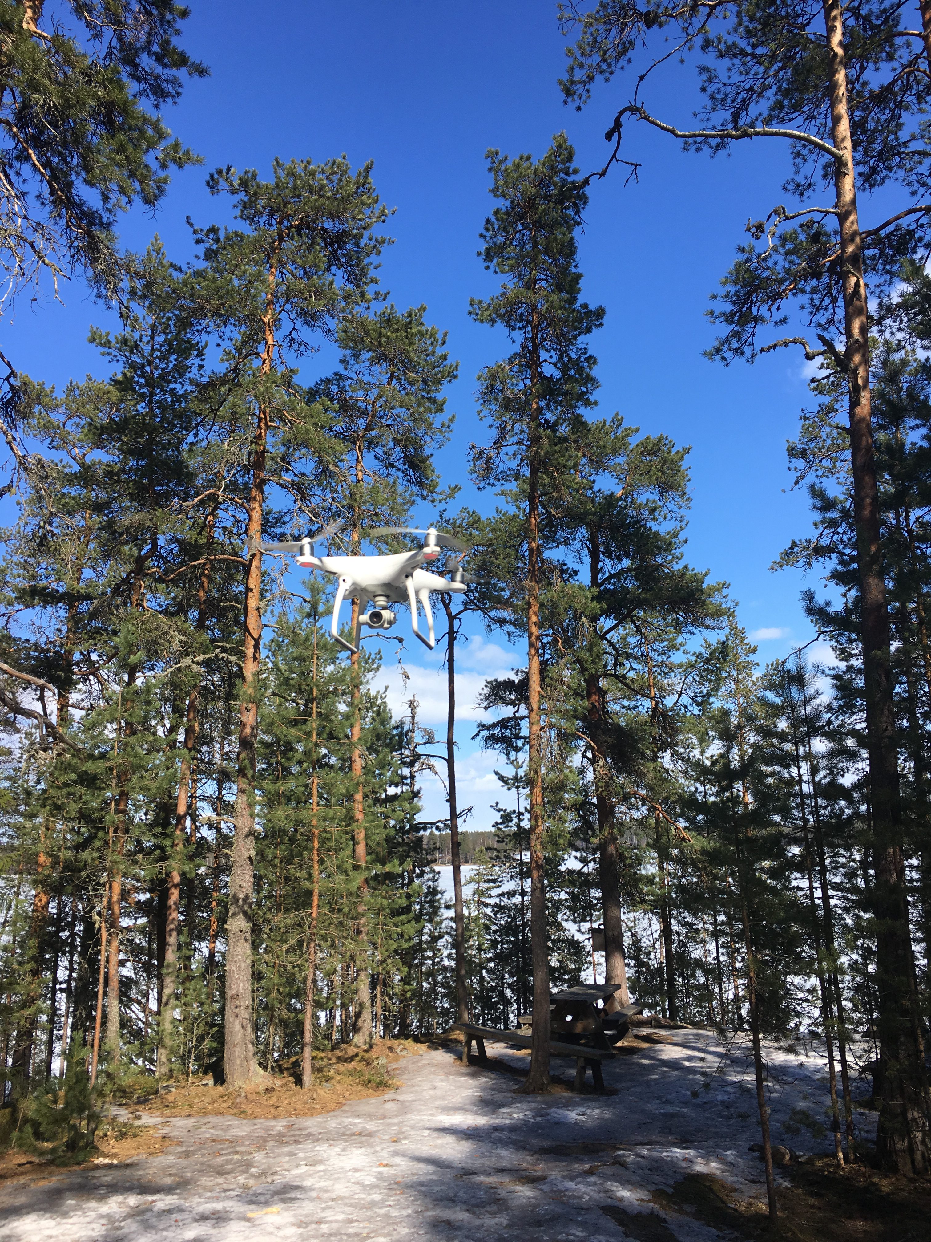 forest drone