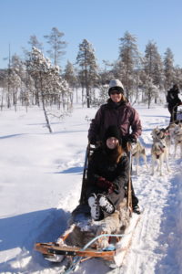 dogsled