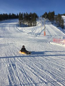 tobogganing