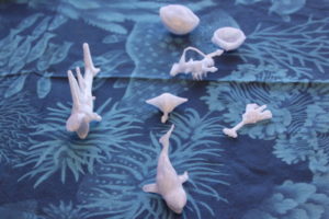 3D ocean animals